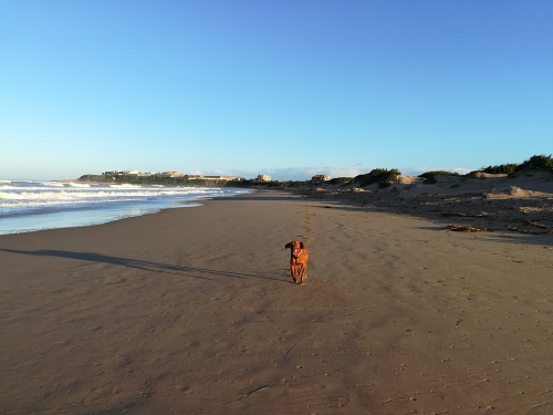 Local Beach